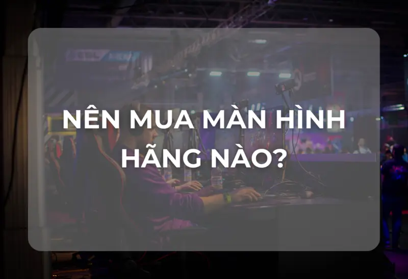 Nên Mua Màn Hình Hãng Nào? Đánh Giá Chi Tiết Các Thương Hiệu Hàng Đầu